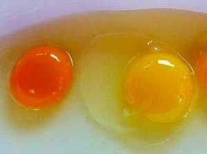 Tak Semua Sama, Ternyata Ini Arti dari Setiap Warna Kuning Telur