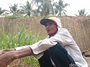 Kisah Warga Cilegon Bertani di Lahan Bekas Tambang Pasir