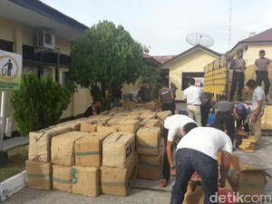 Polisi Amankan Truk yang Bawa 1,7 Ton Ganja di Aceh, 2 Pelaku Kabur