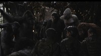 Film ketiga dari reebot Planet of The Apes itu tampak lebih gelap. Foto: Courtesy of Twentieth Century Fox