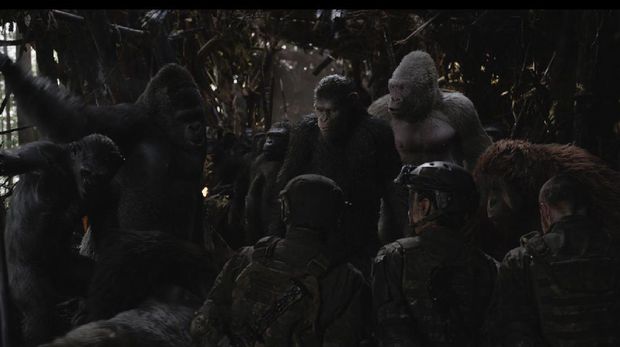 Persaingan 'Blade Runner 2049' hingga 'Kong' di Best Visual Effects