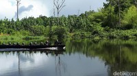 Salah satu tugu perbatasan yang dicek secara berkala adalah MM 12.2, yang ada di dalam rawa. Harus naik boat untuk menuju ke sana (Afif/detikTravel)