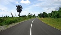 Trans Papua