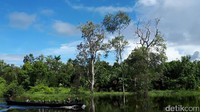 detikTravel bersama Tim Tapal Batas detikcom berkesempatan menyusuri Sungai Kaliwanggo bersama Yonif Para Rider 503/MK, untuk patroli perbatasan (Afif/detikTravel)