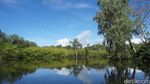 Foto: Inikah Sungai Amazon Ala Papua?
