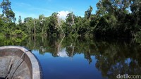 Kaliwanggo masuk dalam wilayah Erambu di Merauke, Papua. Sungai yang sungguh panjang dan lebar, mengalir sampai wilayah Papua Nugini (Afif/detikTravel)