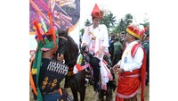Tak hanya melihat langsung para penenun membuat kain tradisional, Jokowi juga sempat naik kuda dengan kuda khas Sumba yaitu Kuda Sandelwood (Instagram/Jokowi)