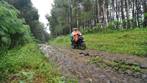 Menantang dan Cantik, Ini Bocoran Trek Ijen Green Run 2017