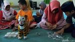 Anak Yatim Pecahkan Celengan untuk Bayar Denda PLN