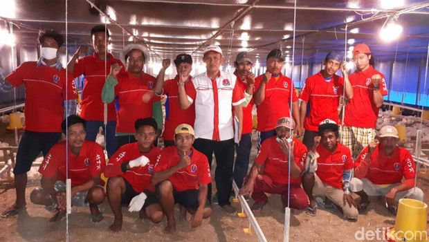 Gagal Ternak Lele, Mantan TKI Ini Bisnis Ayam Beromzet Miliaran