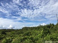 Lokasi Calon Ibu Kota di Palangka Raya