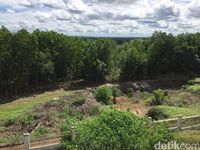 Lokasi Calon Ibu Kota di Palangka Raya