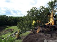 Lokasi Calon Ibu Kota di Palangka Raya