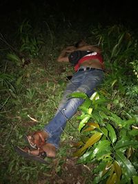 Ungkap Sabu 1 Ton Polisi Tidur di Rumput hingga Tak Ungkap Sabu 1 Ton Polisi Tidur di Rumput hingga Tak