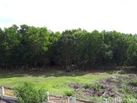 Lokasi Calon Ibu Kota di Palangka Raya