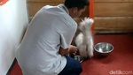 Wisata Edukasi Bagi Pecinta Kucing