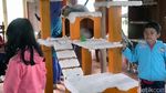 Wisata Edukasi Bagi Pecinta Kucing