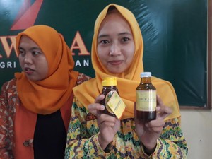 Siapa Sangka Daun Mangga Bisa Dibuat Sirup, ini Buktinya
