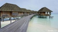 Maldives juga sudah memenangi banyak gelar dalam ajang ini
