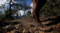 Sejarah menyebutkan, suku Tarahumara pun sulit ditaklukan bangsa Spanyol saat menjajah Meksiko. Sebab, mereka sanggup berlari jauh dan menembus medan-medan ekstrem (REUTERS/Jose Luis Gonzalez)