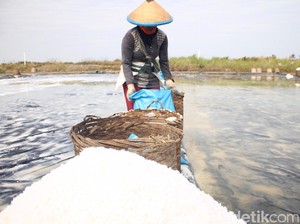 Lewat Tol Laut, 14 Kontainer Garam Diangkut dari NTT ke Surabaya