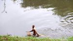 Wajah Kanal Banjir Timur Kini Makin Rapi