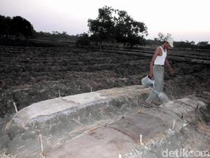 Stabilkan Harga Cabai, Pemkab Pasuruan Dorong Ibu-ibu Tanam di Rumah