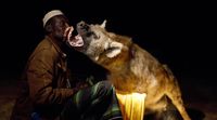 Kisah Pria Yang Akrab Dengan Hyena Di Afrika
