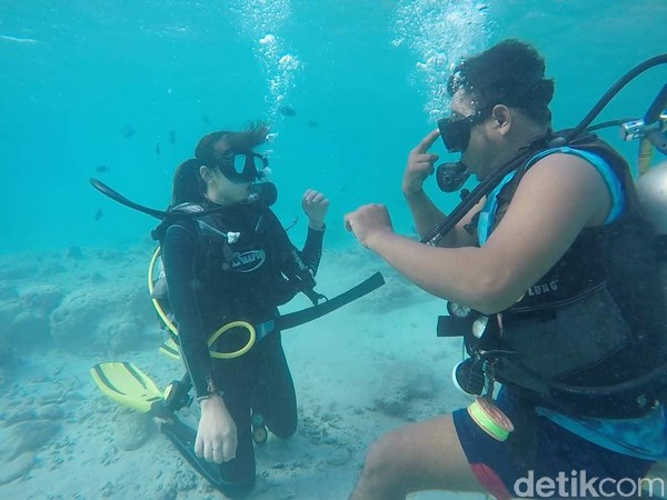 Pantai Pulau Rubiah ini sering digunakan sebagai tempat snorkeling dan belajar diving. Kamu bisa belajar diving dengan aman karena kawasan ini jarang karang (Kamal/detikTravel) Pantai Pulau Rubiah ini sering digunakan sebagai tempat snorkeling dan belajar diving. Kamu bisa belajar diving dengan aman karena kawasan ini jarang karang (Kamal/detikTravel)