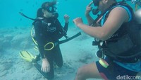 Pantai Pulau Rubiah ini sering digunakan sebagai tempat snorkeling dan belajar diving. Kamu bisa belajar diving dengan aman karena kawasan ini jarang karang (Kamal/detikTravel)