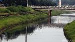 Wajah Kanal Banjir Timur Kini Makin Rapi