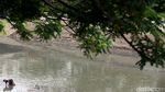 Wajah Kanal Banjir Timur Kini Makin Rapi