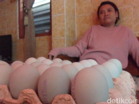Produsen telur asin di Blitar/