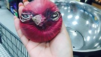 Ingat game Angry Bird yang sempat populer? Nah, bawang bombay ini agak mirip dengan karakter itu. 