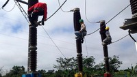 Tiga petugas PLN bergelantungan memperbaiki jaringan listrik. Pool/PLN. 