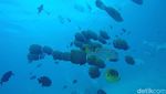 Foto: Tugu KM 0 Sabang di Bawah Laut!