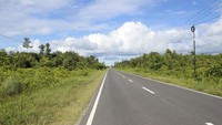 Jalan Tjilik Riwut merupakan jalan yang dibangun oleh insinyur Rusia dengan struktur yang sangat kuat. Tjilik RIwut merupakan putra asli suku Dayak yang menjadi gubernur Kalimantan Tengah Pertama Kali.