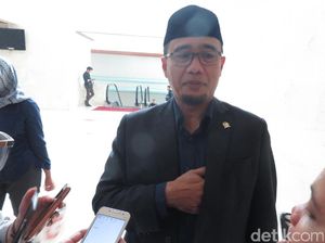 Dukung Marsekal Hadi Panglima TNI, Hanura: Sejalan dengan Presiden