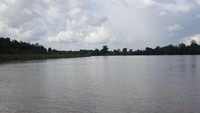 Sungai Kahayan mengalir tenang.