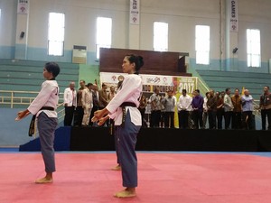 Indonesia Patok Target 4 Besar di SEA Games 2017