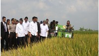 Presiden Jokowi saat meninjau irigasi rentang di Indramayu, Jawa Barat. Dok. Kementerian PUPR.