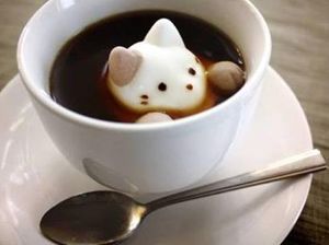 Wouw! Ada Kucing Lucu Berendam di Dalam Cangkir Kopi