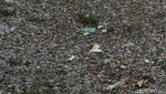 Foto: Horor Sampah Sungai Citarum