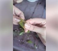 Ramai Video Anggur Berkulit Elastis, Benarkah Anggur Plastik?
