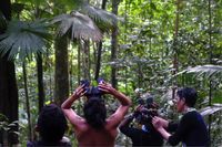 Perjuangan Berat Melihat Burung Bidadari Langka Khas Malut