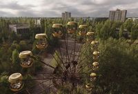 Kota Pripyat kini ditumbuhi rumput dan pepohonan layaknya hutan