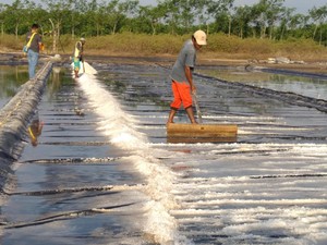 Garam di Jatim Langka, Pemprov Berharap Kran Impor Garam Dibuka