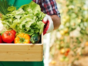 Kerja di Industri Makanan Tak Selalu Jadi Chef, Ada 5 Pekerjaan Unik Lainnya
