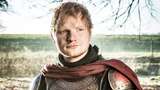 Ed Sheeran Punya Misi Mulia Kembalikan Hutan di Inggris
