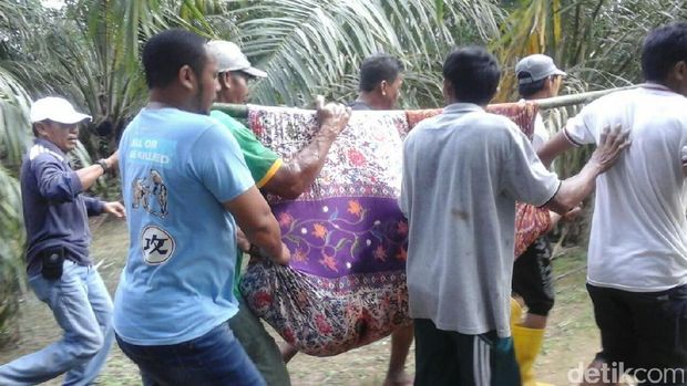 Jasad pria yang tewas disambar buaya saat mandi di Sungai Lempake, Kabupaten Berau, Kaltim dievakuasi warga